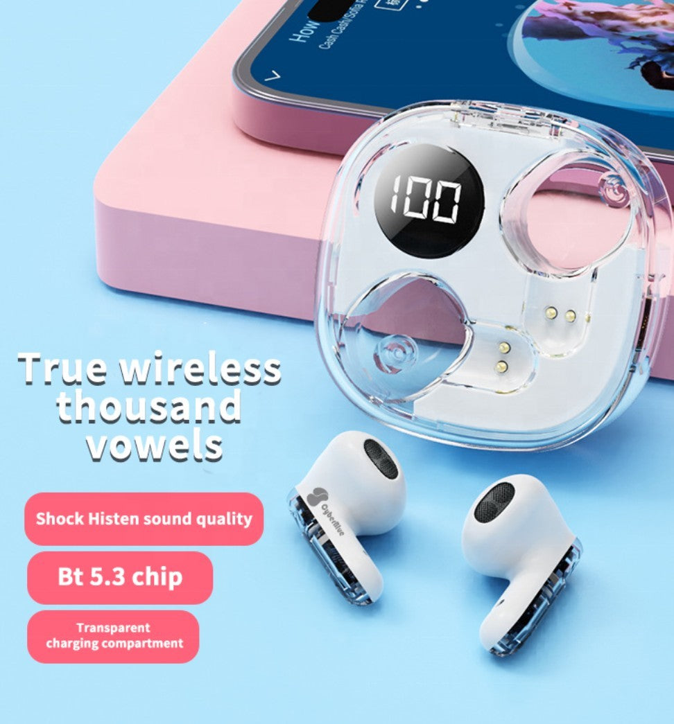 Digital 5.3 Apro 138 Transparent Earbuds